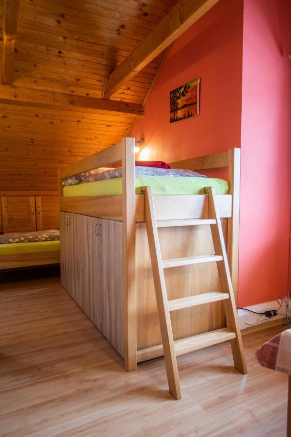 Penzion U Vichu Červená Voda Exterior foto